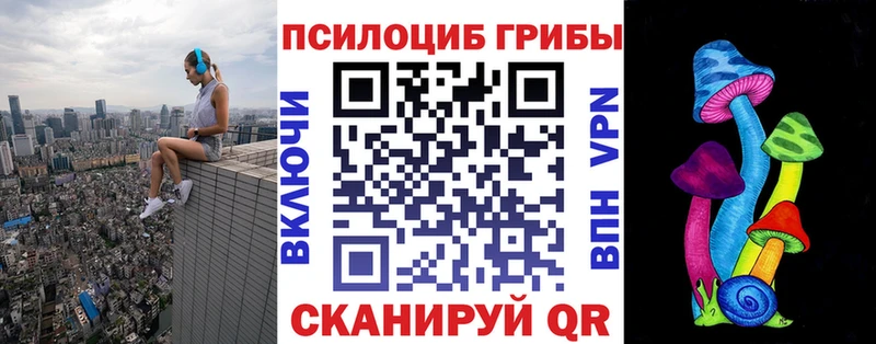 Псилоцибиновые грибы Psilocybe  хочу   Краснознаменск 