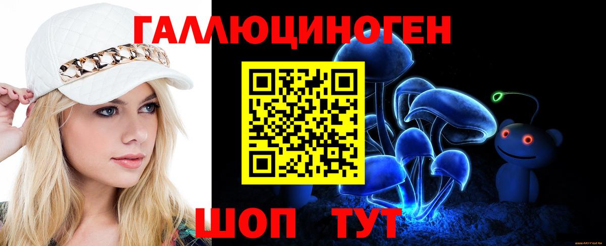 Псилоцибиновые грибы Psilocybe Краснознаменск